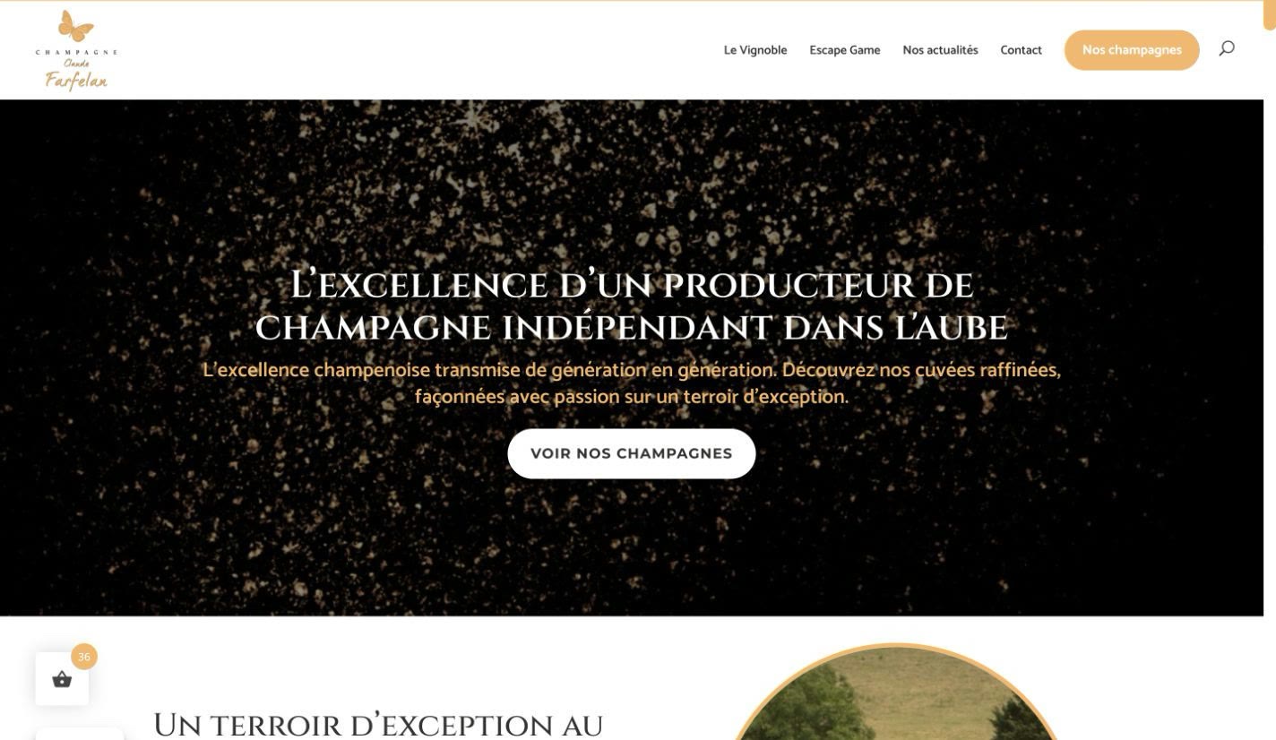 Page d’accueil Champagne Farfelan et présentation de plusieurs cuvées